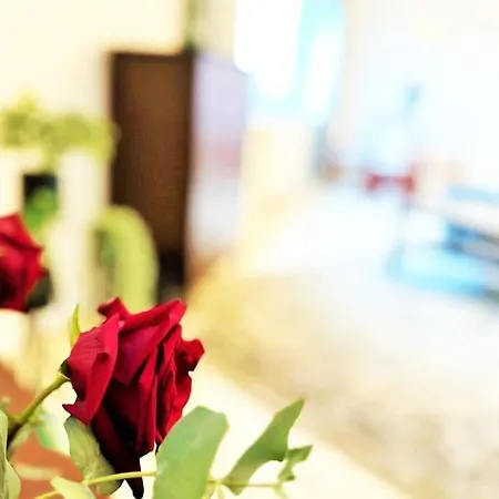Exclusive Penthouse Near Citycenter 120m2 +netflix *