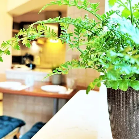 Exclusive Penthouse Near Citycenter 120m2 +netflix * קרקוב