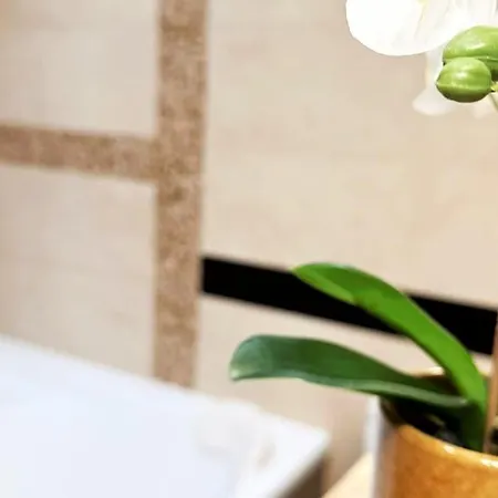 Exclusive Penthouse Near Citycenter 120m2 +netflix דירה קרקוב