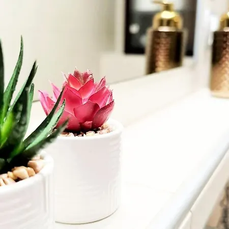 Exclusive Penthouse Near Citycenter 120m2 +netflix קרקוב